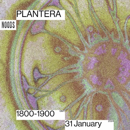 Noods Radio - Plantera - 31.01.24