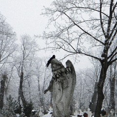 PARTYGIRLS w/ $WITCHBLADE $KRILLA