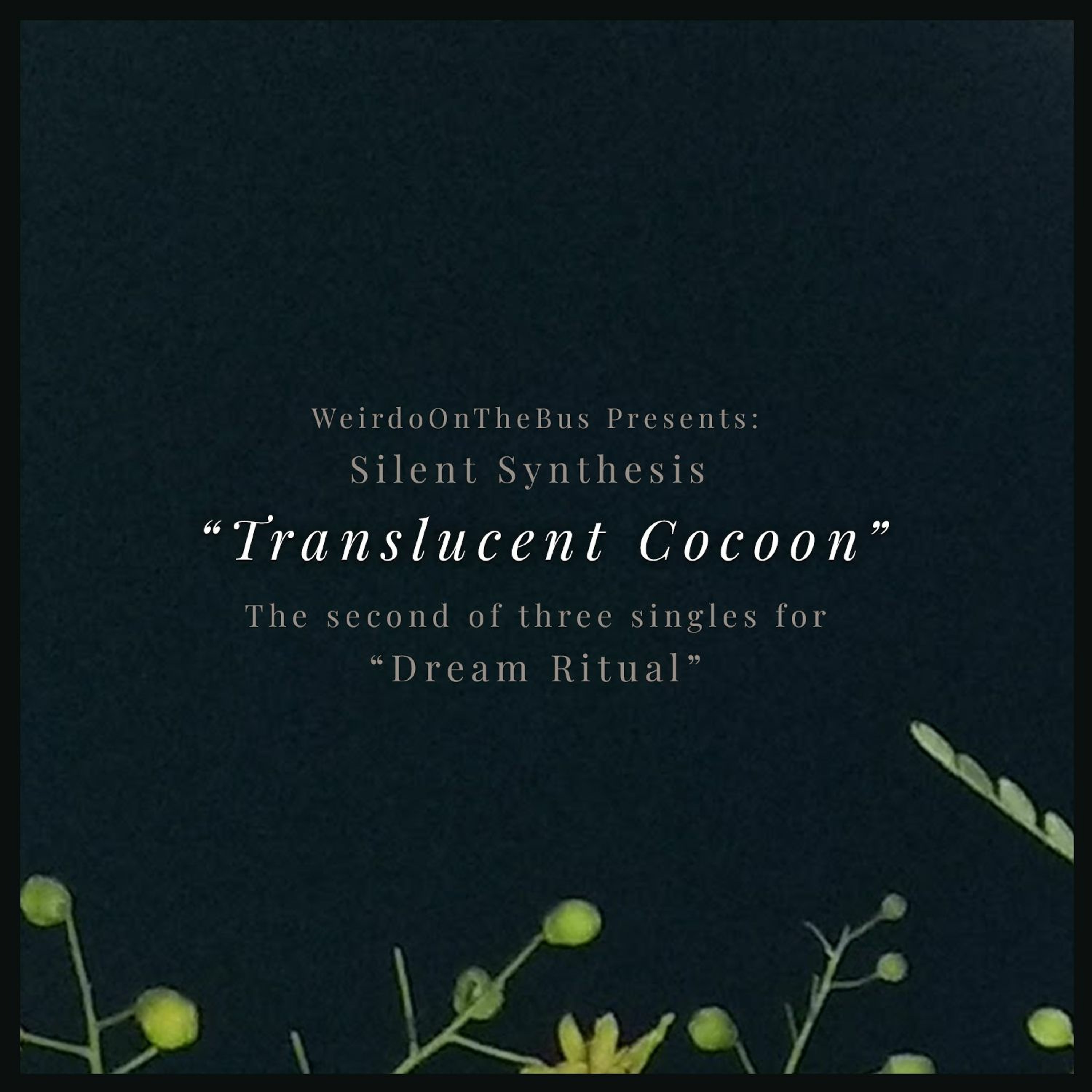 Translucent Cocoon episode artwork