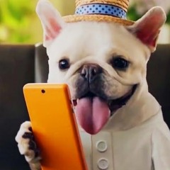 GANGSTER ON THA GRAM    [ GRISELDA X BENNY X WESTSIDE GUNN TYPE BEAT ]