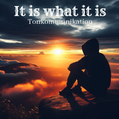 It is what it is