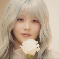 KPOP SUMMER 25-II