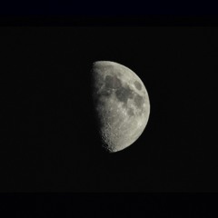 01.Wanted Carte Ã  la mort.mp3