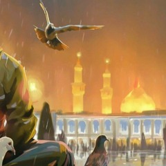 دلتنگ حرمتم - صادق اویسی
