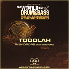 Toddlah - Raindrops (DJSS 2026 Remix)