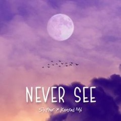 Skyper x Konrad Mil - Never See (Inspired by “The Flight”)