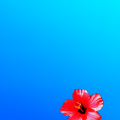 Next Up (prod. jankdivine)