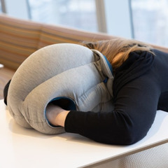 Good Morning Drone - Scott Moon