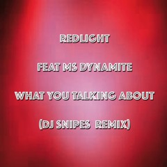 Redlight Feat MS Dynamite - What You Talking About (DJ Snipes remix)