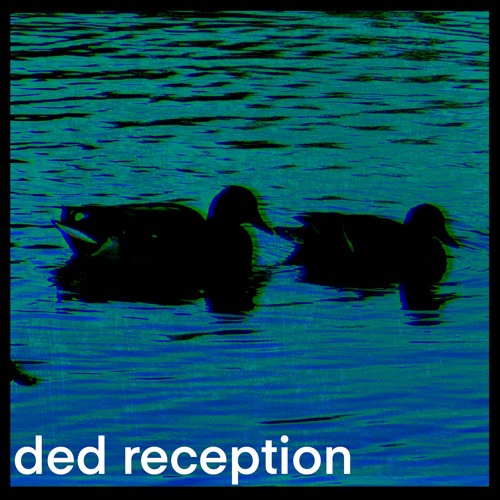 chameleon (demo)