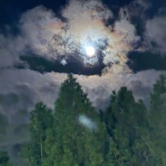 Inmytwenties blue.m4a