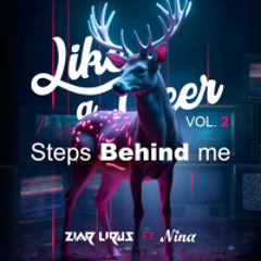Steps Behind me | Like a Deer VOL.2