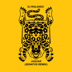 DJ Rolando - Jaguar (SENATVS Remix)