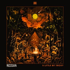 Copy of Reidak - A Little Bit Tricky