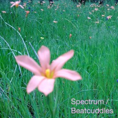 Spectrum
