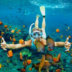 Best Worlds Snorkeling Destinations Prices Reviews