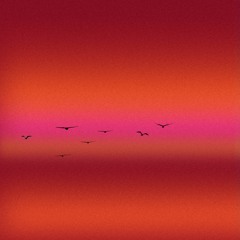 PREMIERE : Paddy Chambers - Aaina