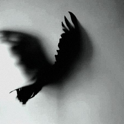 тени (prod. by kinderyessir)