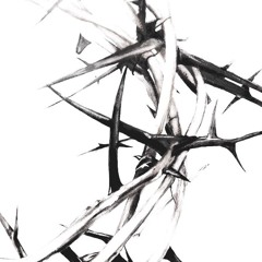 love and affection (Prod. COLDE$T)