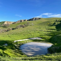 Chapter 28 (ft. Ella Luebbe)