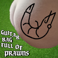Guitar Bag Full Of Prawns