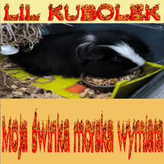 Daj miodu (Trafiłem do kosza,dziękuje za urodziny)