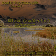 Soul'n'Dub Episode 7 Guest Mix by Lil Soul - on WTMO Dub Radio