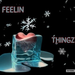 Feelin Thingz - Bank$