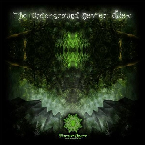 Fafazz - Liquid Consciousness - Forest Spirit Records