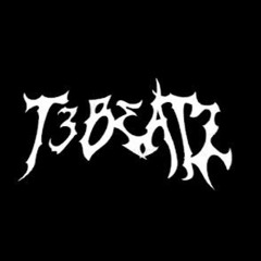 T3Beatz-A Whole New Level