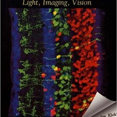 [PDF❤️Download✔️ From Photon to Neuron: Light, Imaging, Vision Full Books