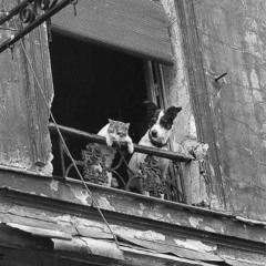 Syber Symon DJ set on RIOT - 24th May 2024