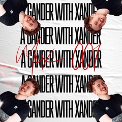 A GANDER WITH XANDER - MIX 001