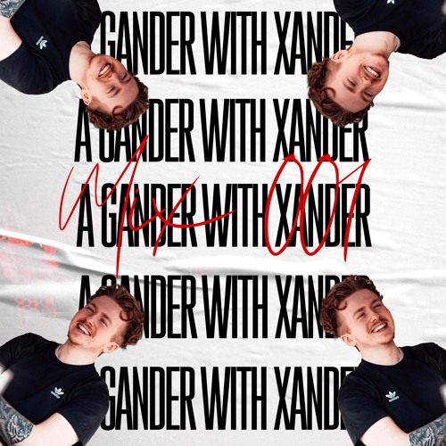 A GANDER WITH XANDER - MIX 001