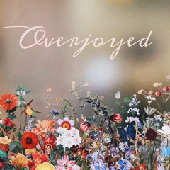 Stevie Wonder - Overjoyed Instrumental Version (cover by Aeonian)