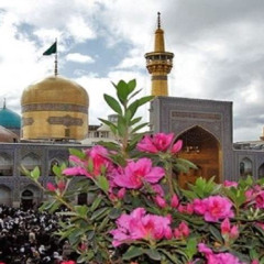 ‎⁨جنة الرضا أشبال مدرسة الزهراء⁩