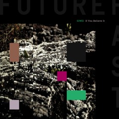 FP005 I SIWEI - If You Believe It EP (Snippets)