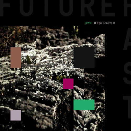 FP005 I SIWEI - If You Believe It EP (Snippets)