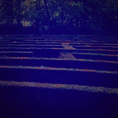 Maze Of Wilting Voices :: Electronic Chill-Out Set :: Misc. / Deep House / Minimal Techno / Vocal