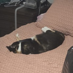 Dropping-anchor-4-mins-Russ-Harris-The-Happiness-Trap.mp3