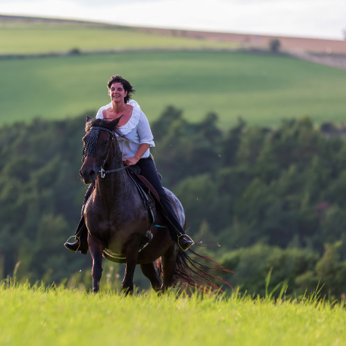 Where the Sand Remembers · Quiet Oud and Violin Reins
