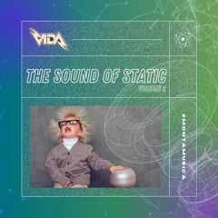 VIDA - THE SOUND OF STATIC VOLUME 2