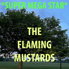 Super Mega Star