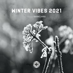 Winter Vibes 2021 [Another Life Music] mixed by Kabazjaka