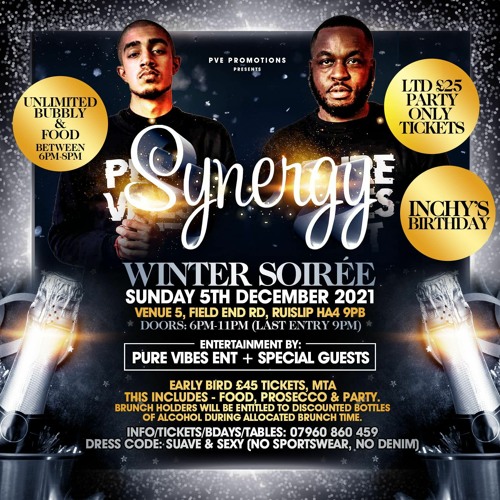 Pure Vibes Ent & Mista Hooli (NWR) - Live At Synergy - Winter Soiree (Inchy's Birthday) 05.12.21