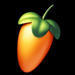 FL-Studio Halt !