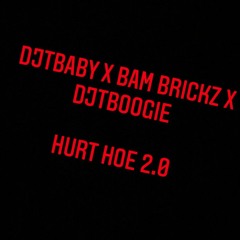 Dj TBaby Ft. BamBrickz & Dj TBoogie - Hurt Hoe 2.0