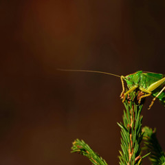 Saat kehilangan cinta