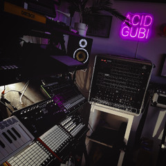 ACID GUBI - Halb Live // 21.07.2025