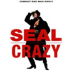 Seal - Crazy  (Extasia Remix)